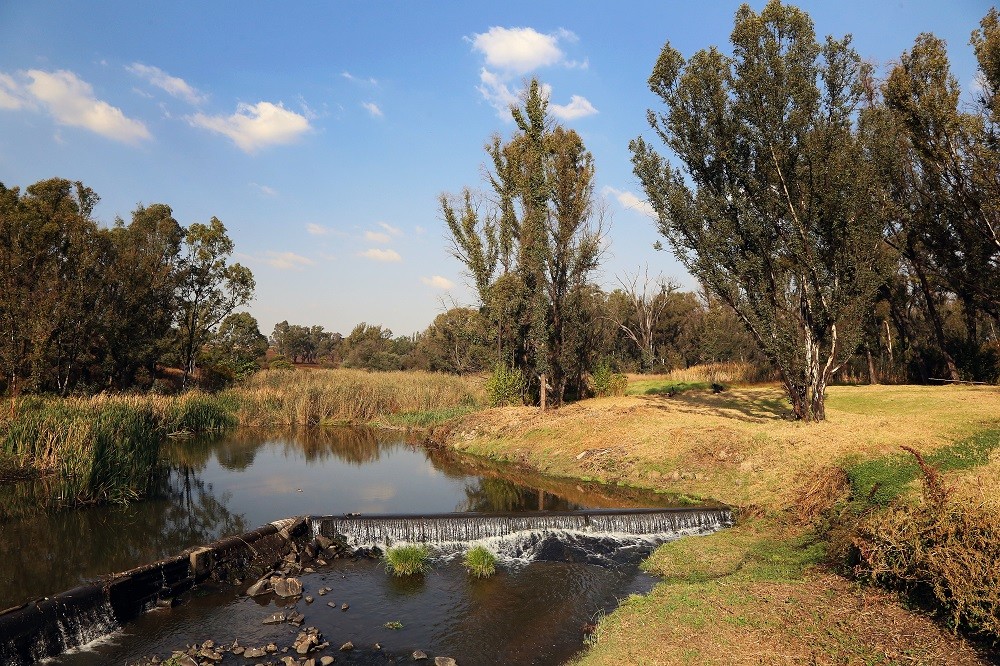 Modderfontein Reserve Parks, Sports & Outdoors Johannesburg